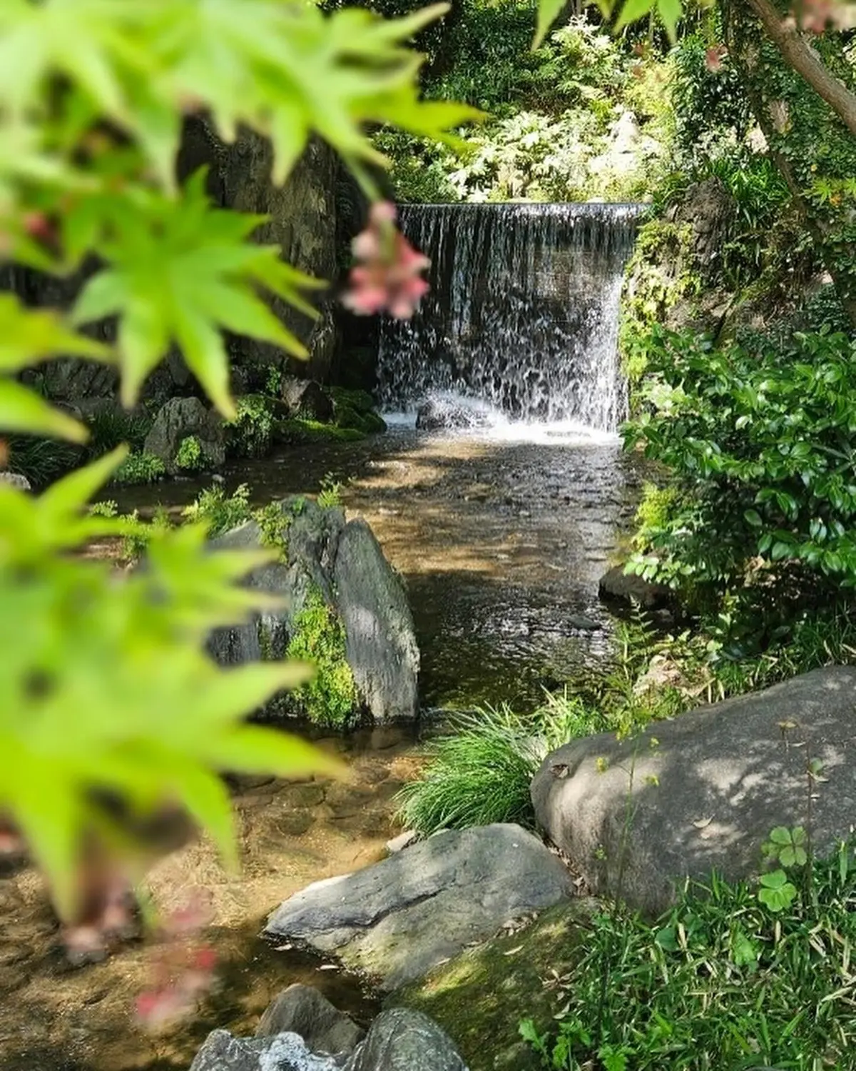 春　欲張りなアラフィフはおしゃれも遊びもの画像_11