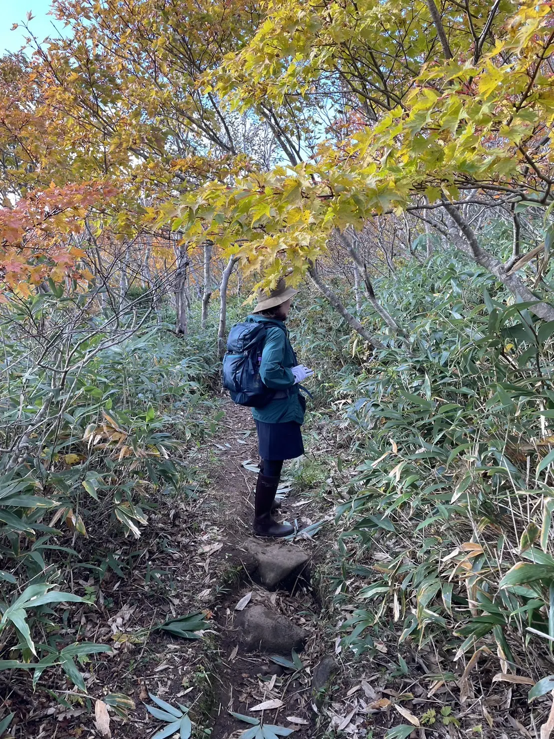 モンベル　ミレー　L.L.Bean　HUNTER