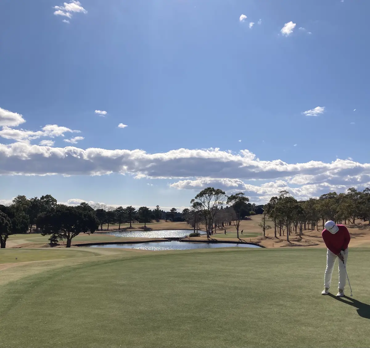 私の好きなこと。①の画像_1