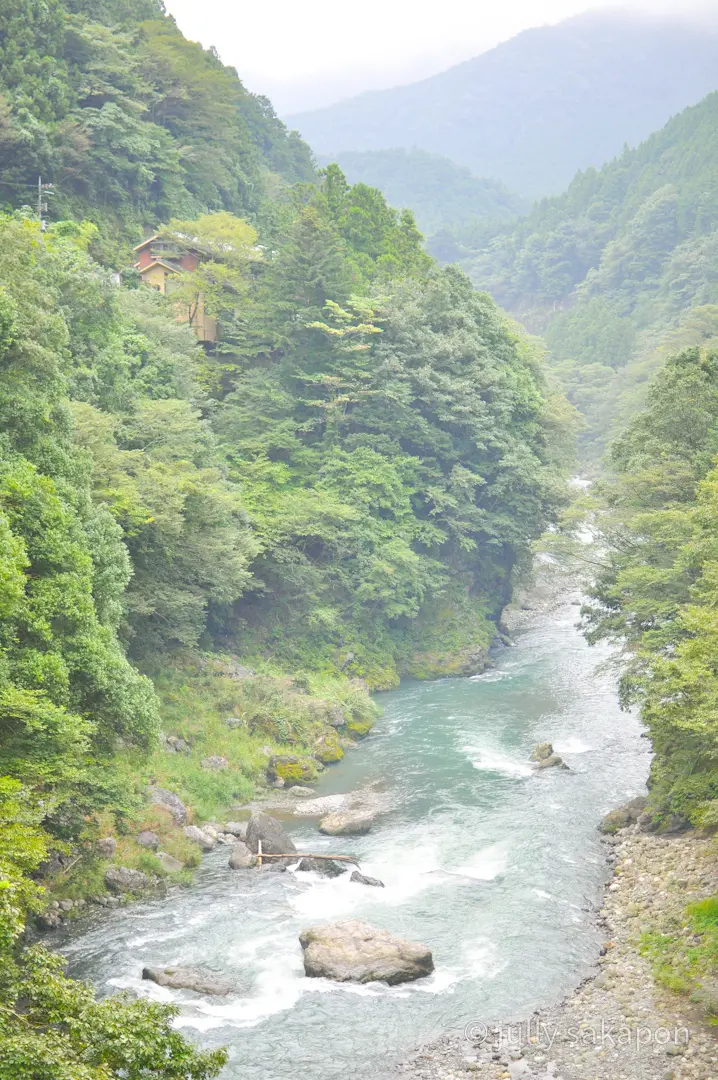 【さかぽんの冒険】プチトリップ@奥多摩❤の画像_17