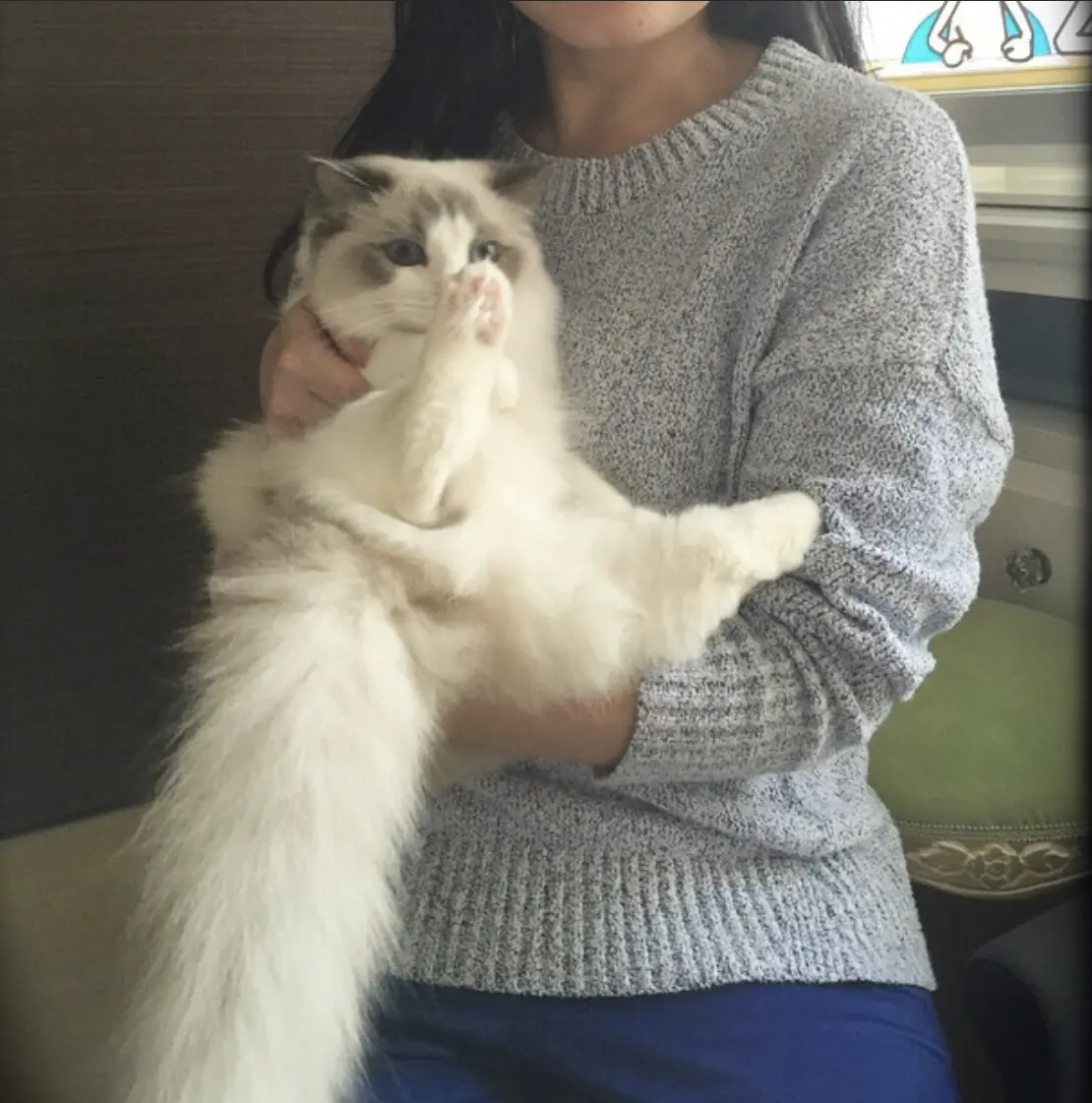 もうすぐ一歳の下の子