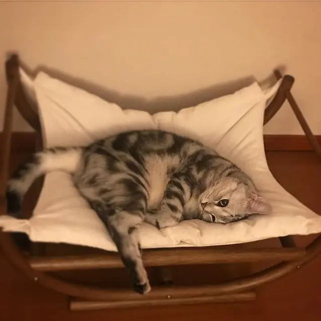 再ブレイク中！？の画像_1