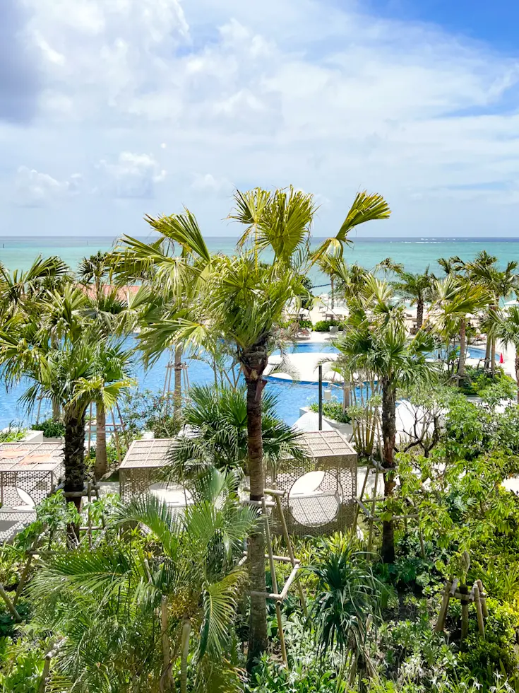 【さかぽんの夏休み🌴】旅する帽子☆沖縄 の画像_12