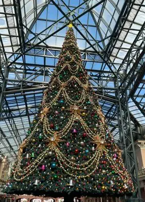 アラフィー　変化した夢の国での過ごし方♪の画像_3