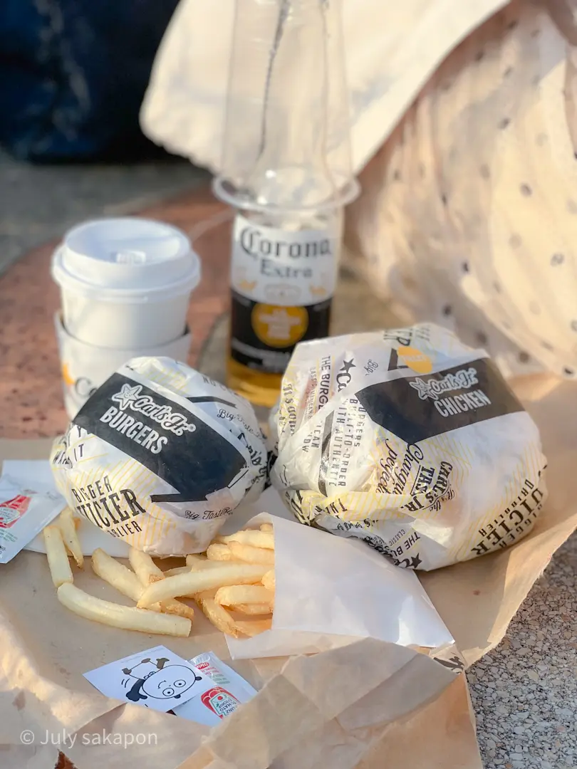 【さかぽんの冒険】チューリップとハンバーの画像_7