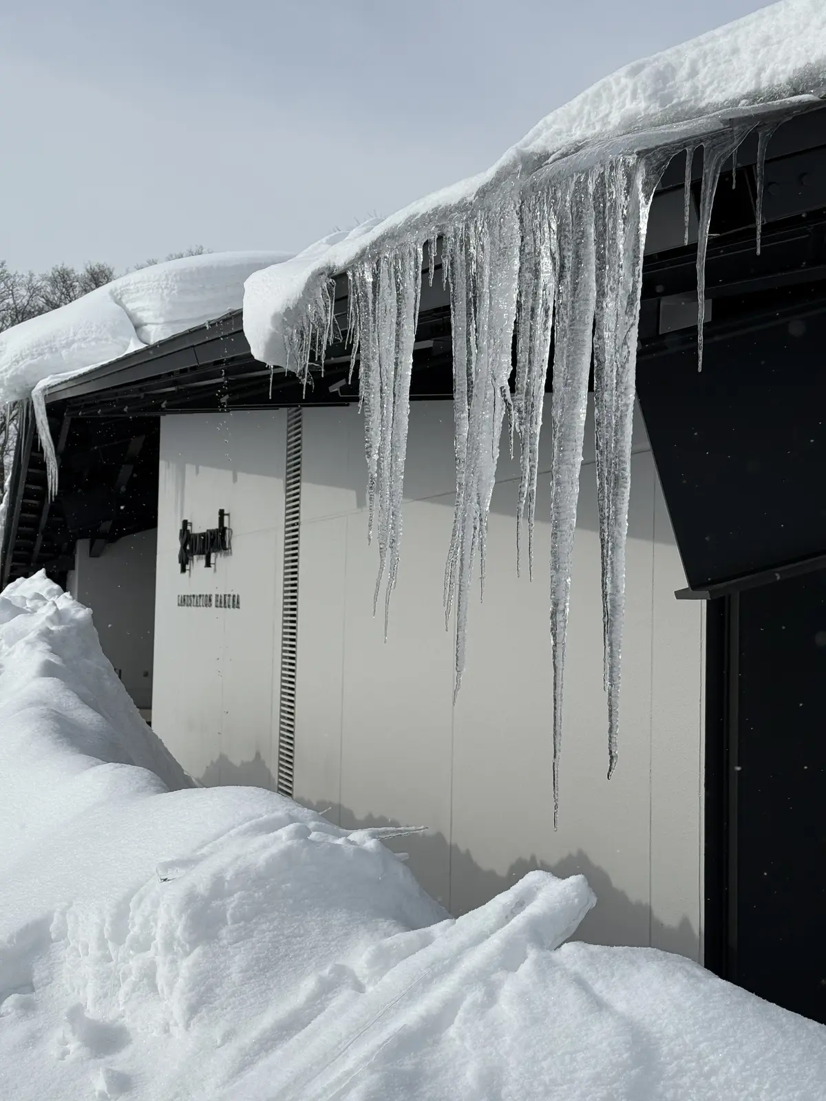 長野県　白馬村　雪景色　つらら