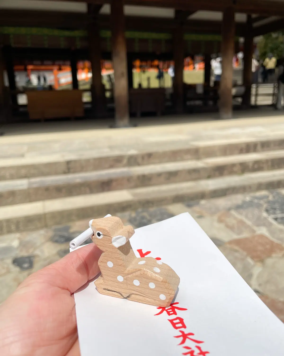 藤を訪ねて～奈良春日大社へドライブデートの画像_2