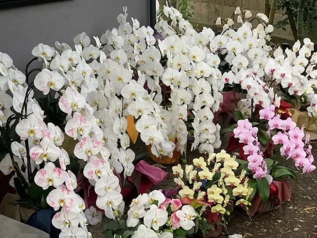 鎌倉　北じま　京都　和久傳