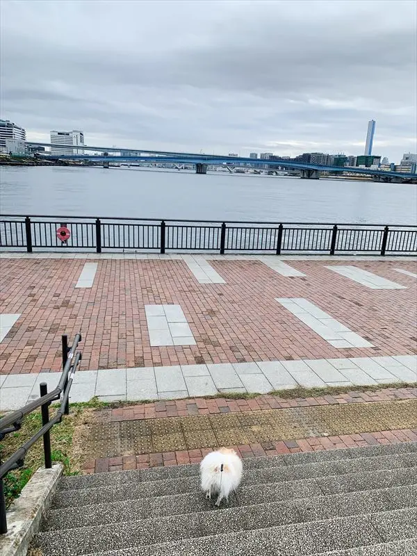 お花見さんぽ♪の画像_2