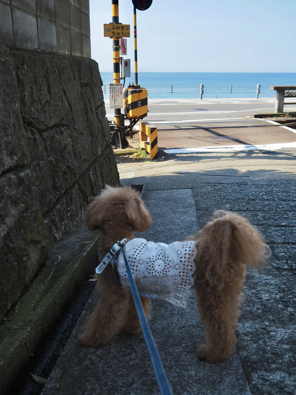 海まで30歩！の小さな幸せ♪（お店紹介）の画像_6
