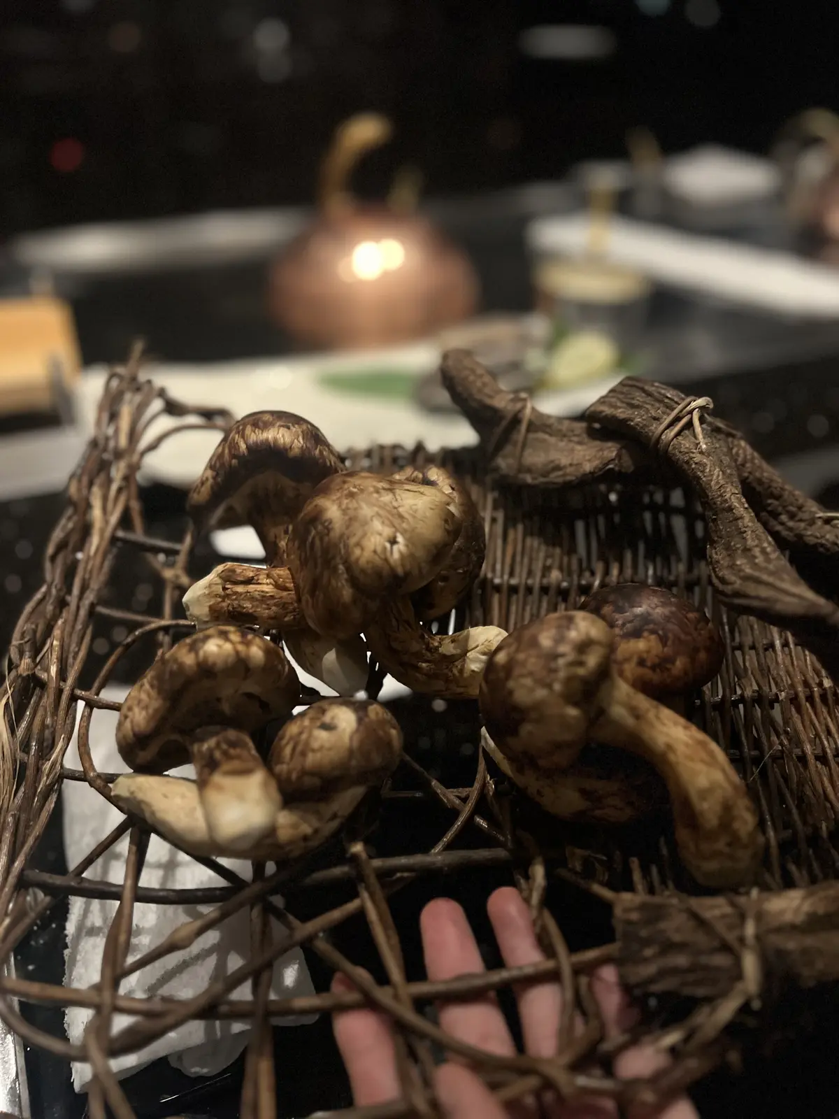 優雅な黒の透け感タートル。 〜私のノワーの画像_5