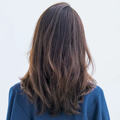 美人顔の黄金バランスのロングヘアのバック