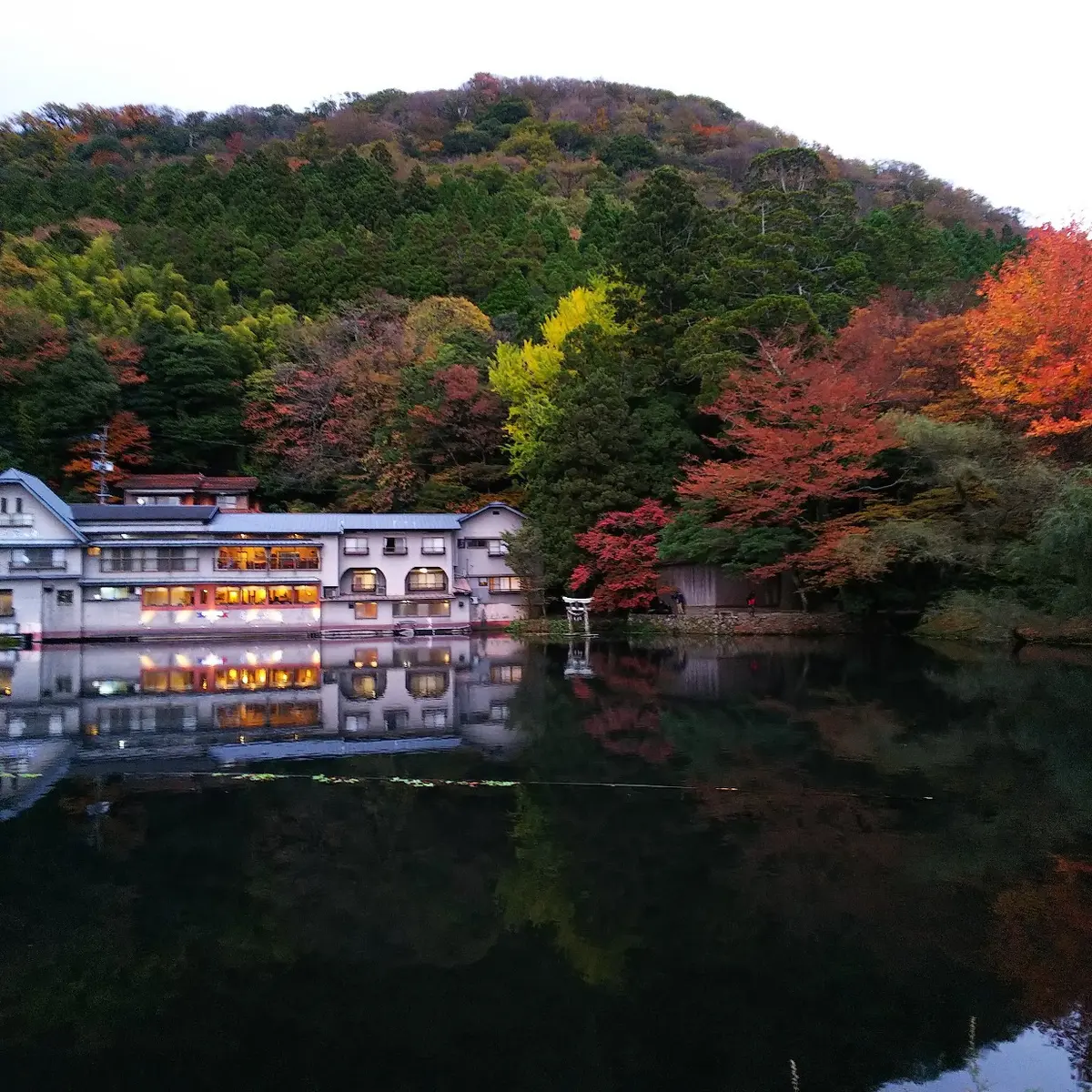 『湯布院』の画像_2