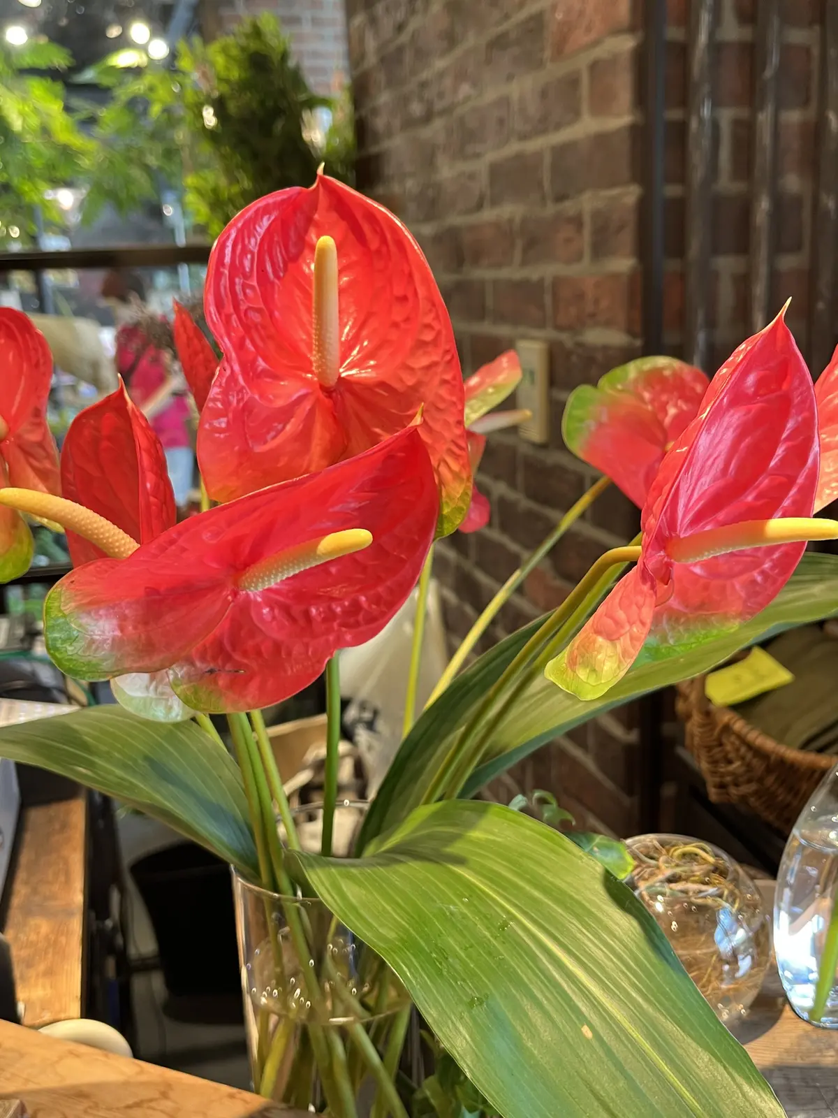 流れるように束ねるの画像_7