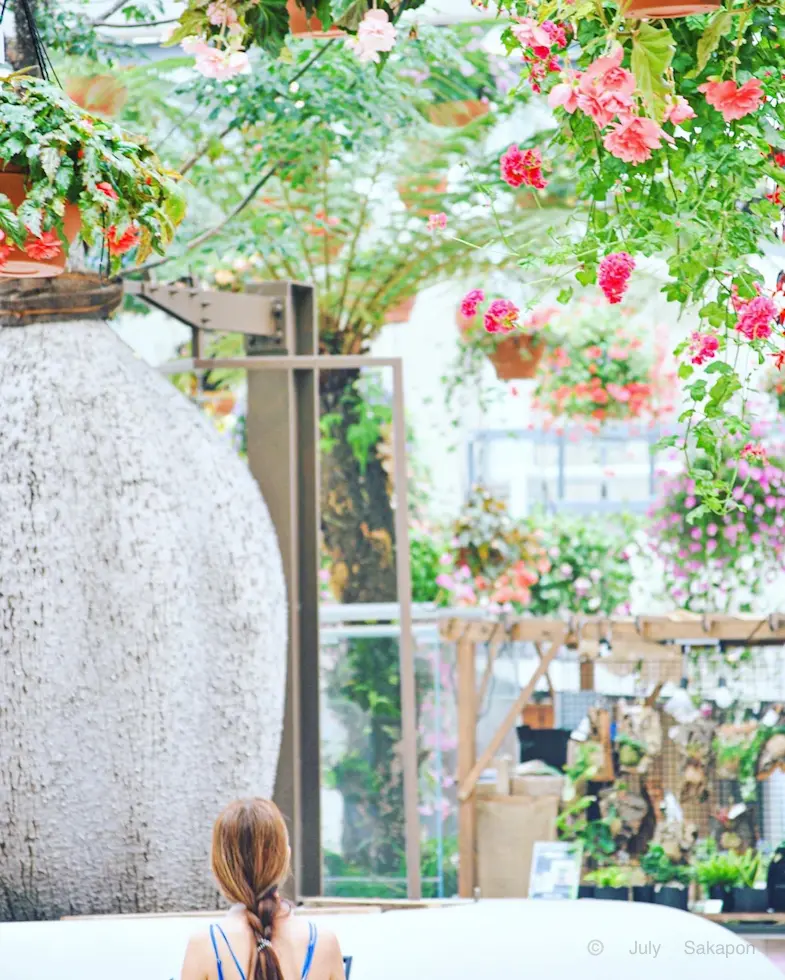 まさかの楽園?‼︎Starbucks☆はの画像_3