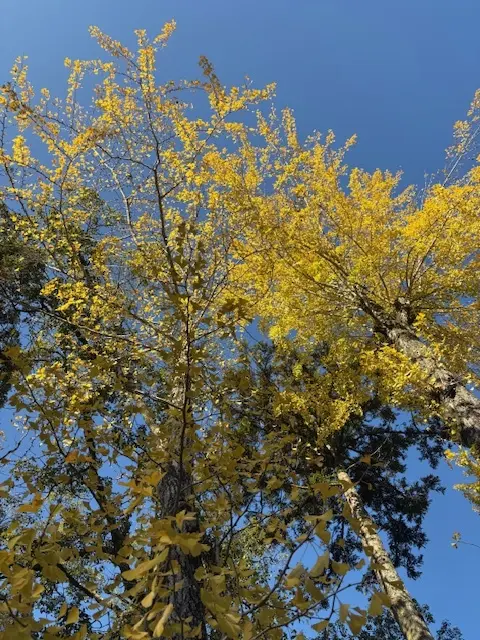 【福岡】ONE FUKUOKA BLDGの画像_6