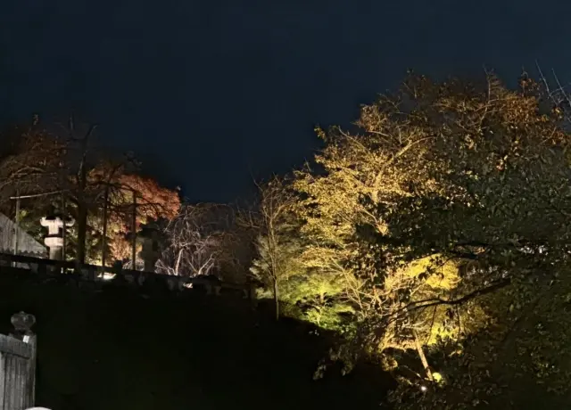 秋の京都の夜は、清水寺へ。の画像_3