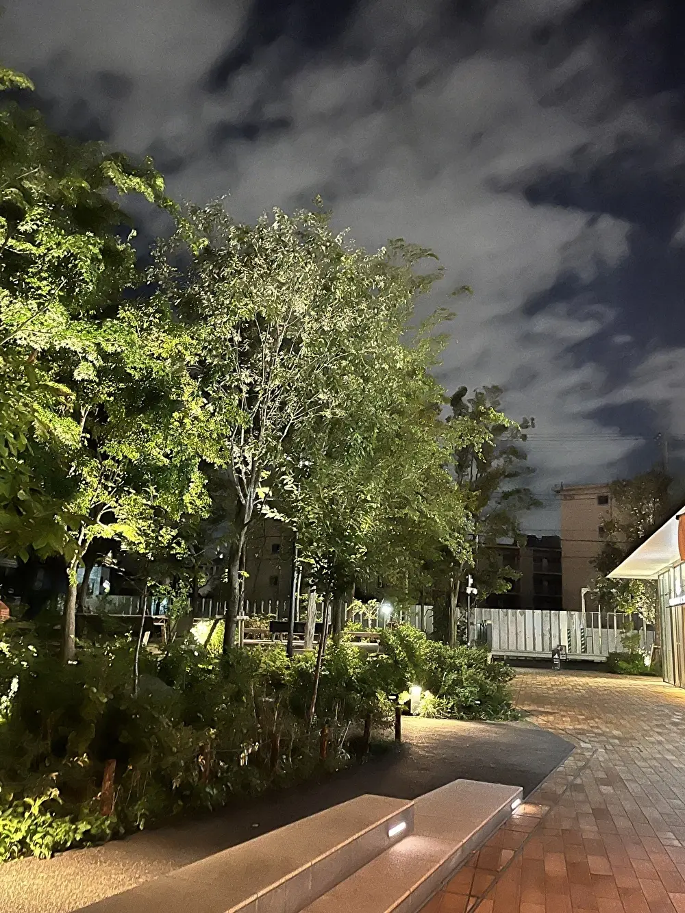 ののあおやまの緑