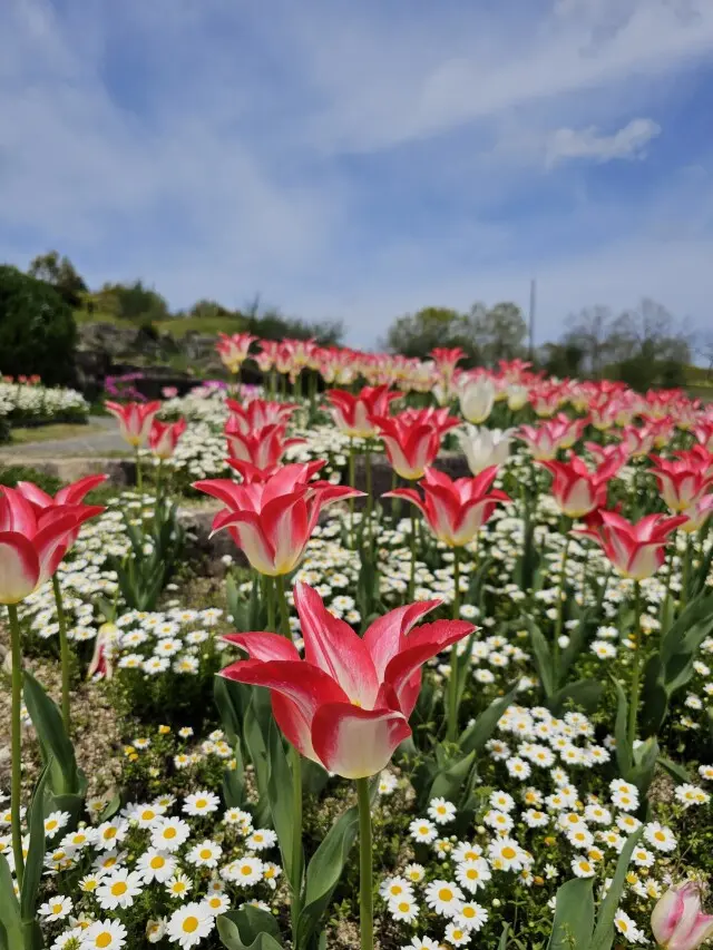 海外のような景色広がる公園の画像_3