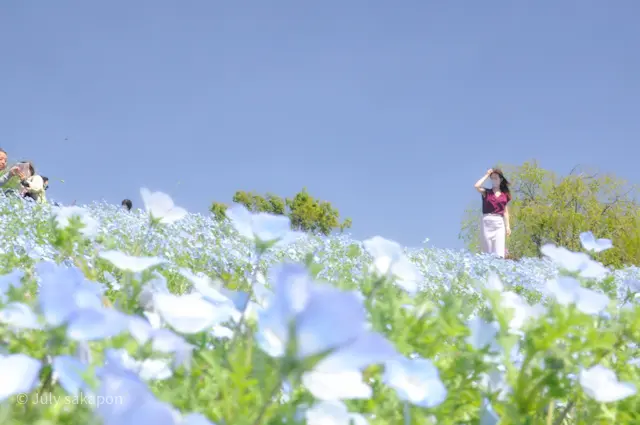 【さかぽんの履歴書】⑰愛ラブskirt❤の画像_4