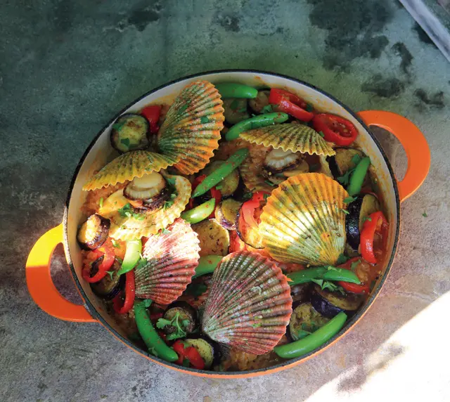 有元葉子　高知