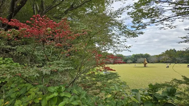 休館までカウントダウンのDIC川村記念美の画像_4