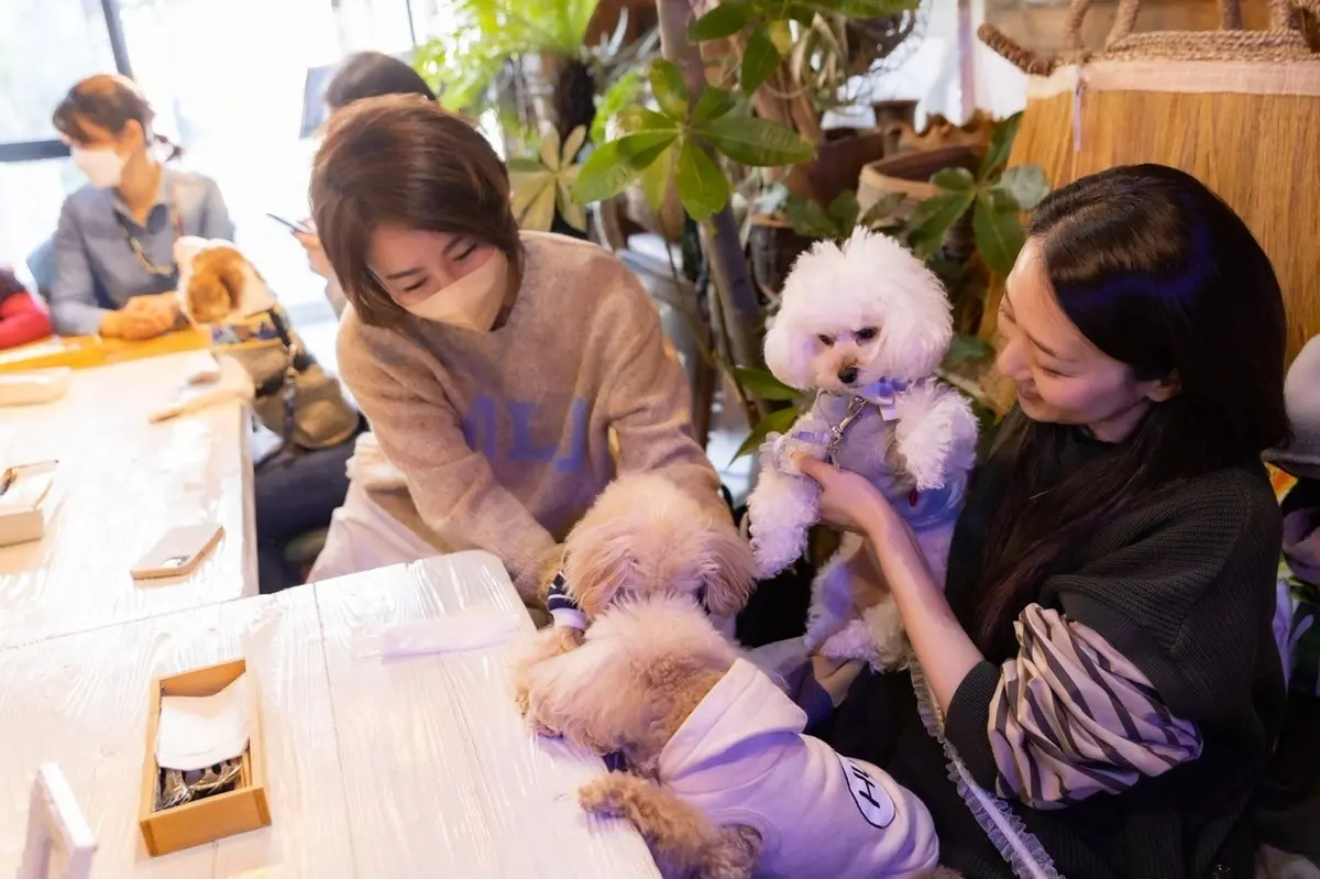 愛犬ミルクと今年最後のビーチクリーン活動の画像_6