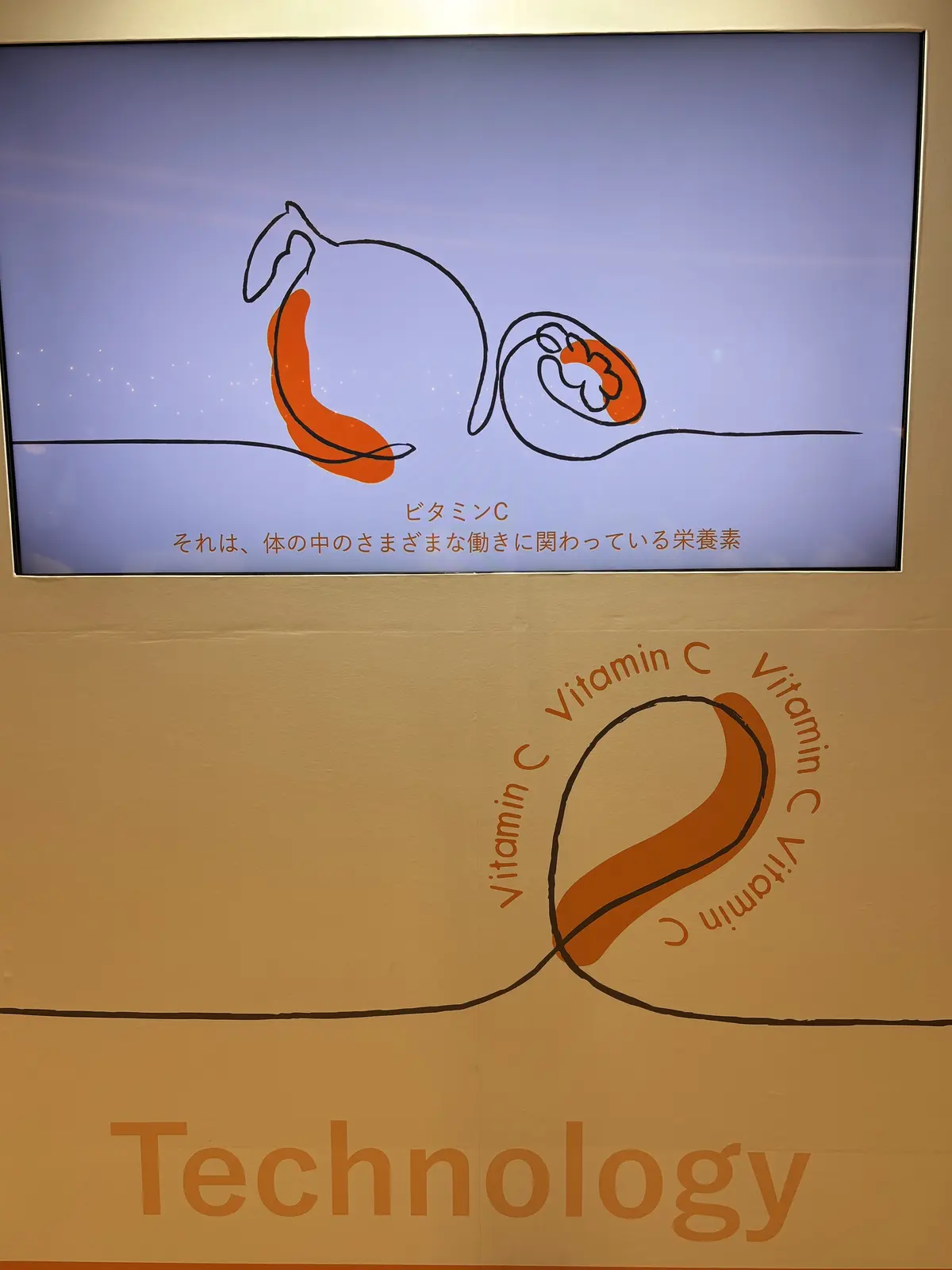 「Lypo-C」×「éclat」コラボレの画像_8