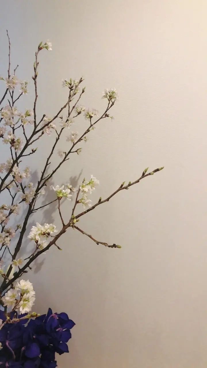 N.O.R.C×éclat ショッパーBの画像_5