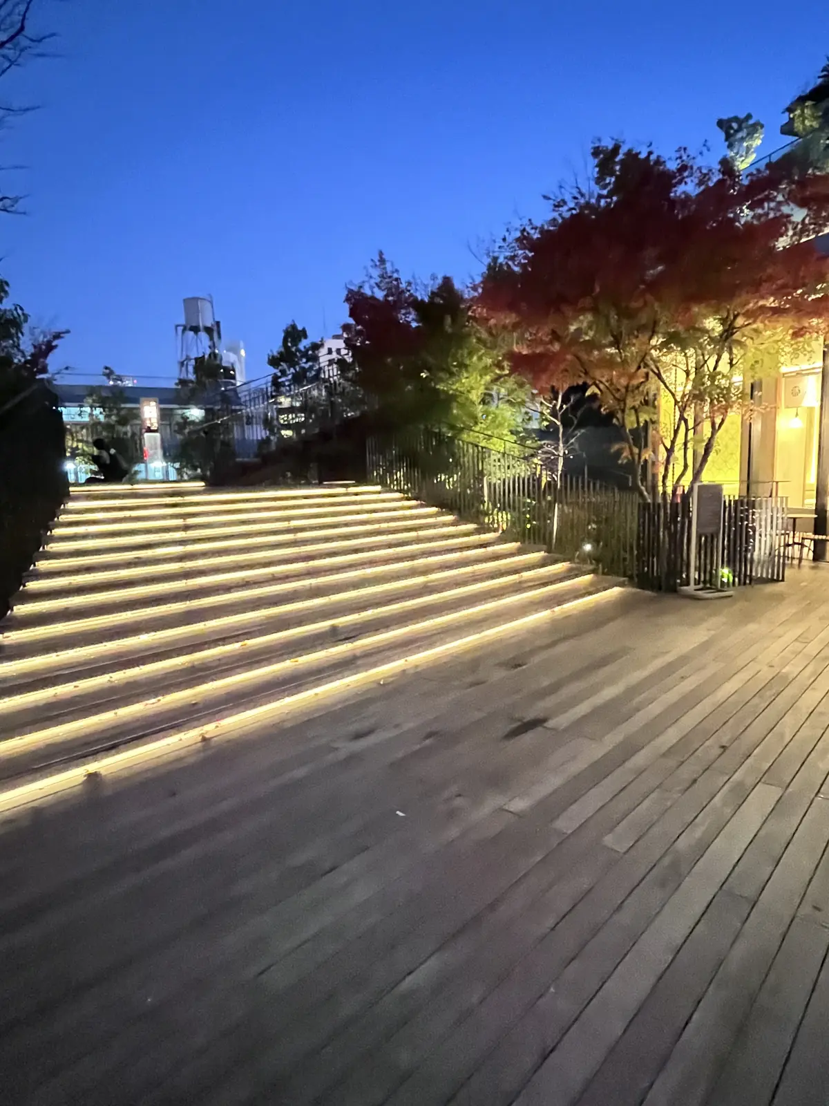 恵比寿でキラキラツリー観賞・夜はLiveの画像_14