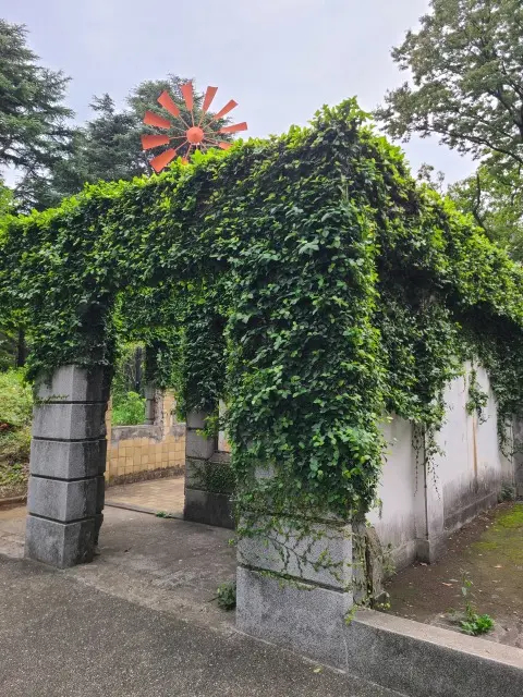 愛犬と元町・中華街への画像_1