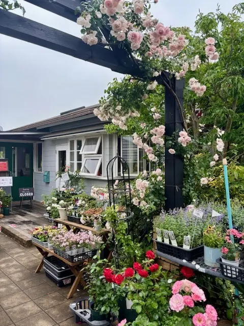 スニーカーコーデでバラの季節におすすめのの画像_1