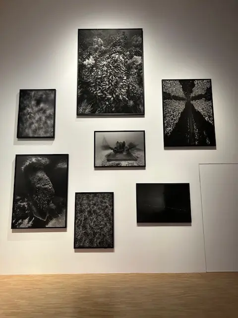 メゾンエルメスにて、アートとエコロジーのの画像_4