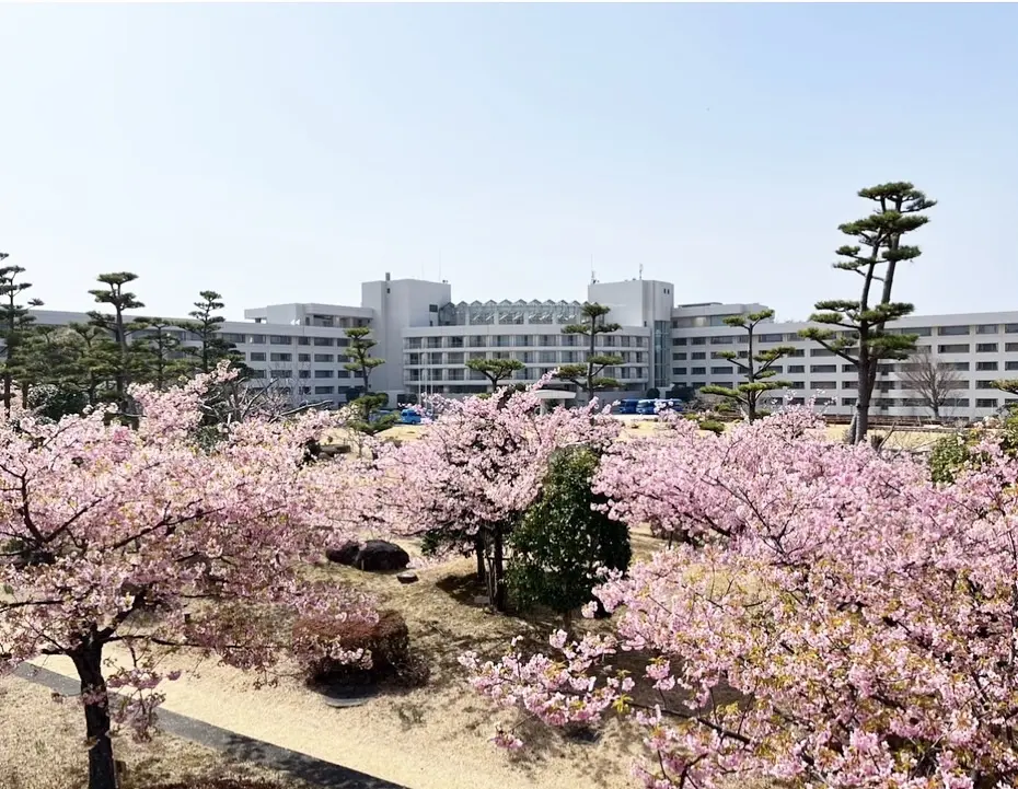 桜とオーシャンビュー初島へ♩春アウター着の画像_1