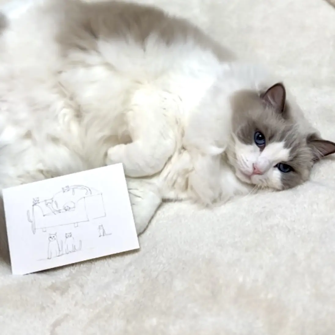 ポストカードと下の子?