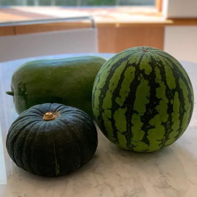 西、南、冬！瓜の集合