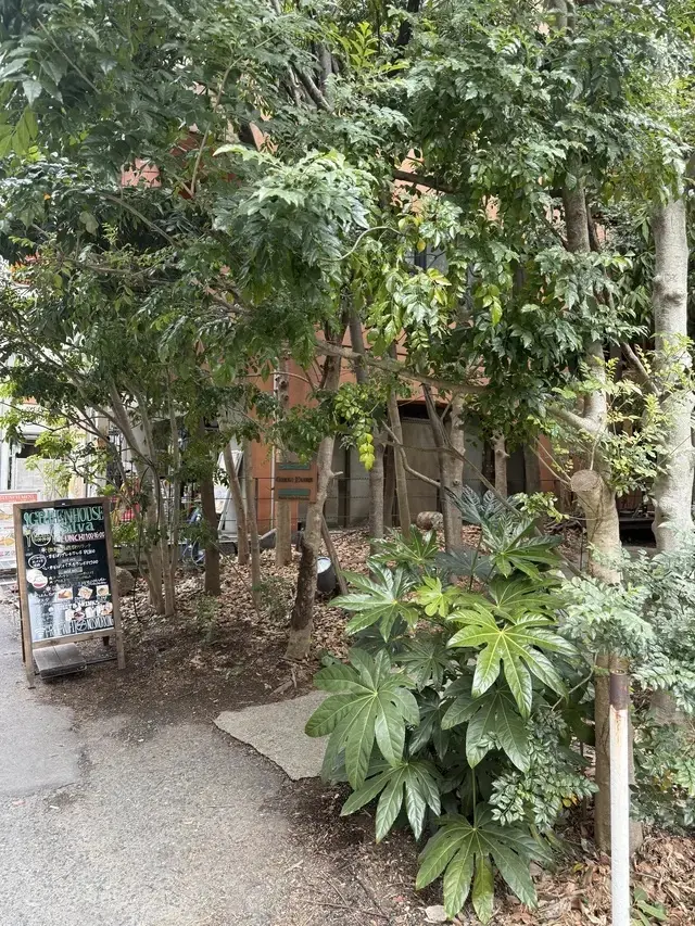 GREEN HOUSE Silva 外観