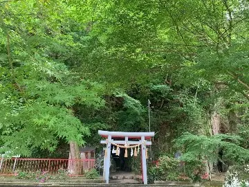 日本一の来場者数のラコリーナ近江八幡への画像_9