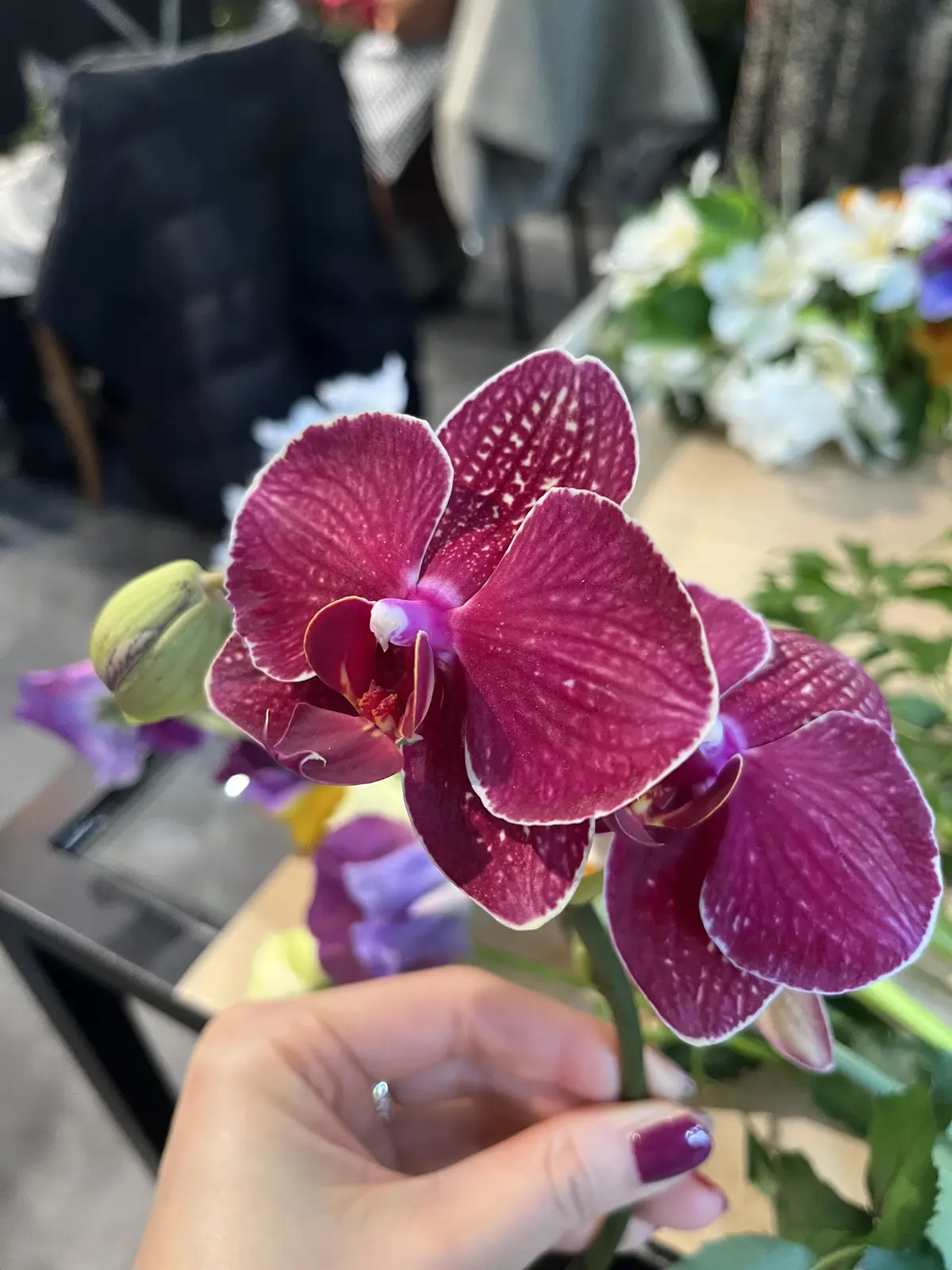 GREEN HOUSEで花活♪の画像_9