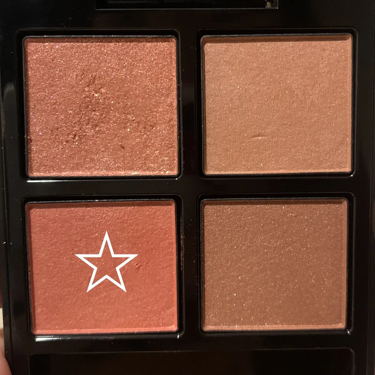 アディクション　ザ アイシャドウ パレット 008　サウザンド ロージズ 