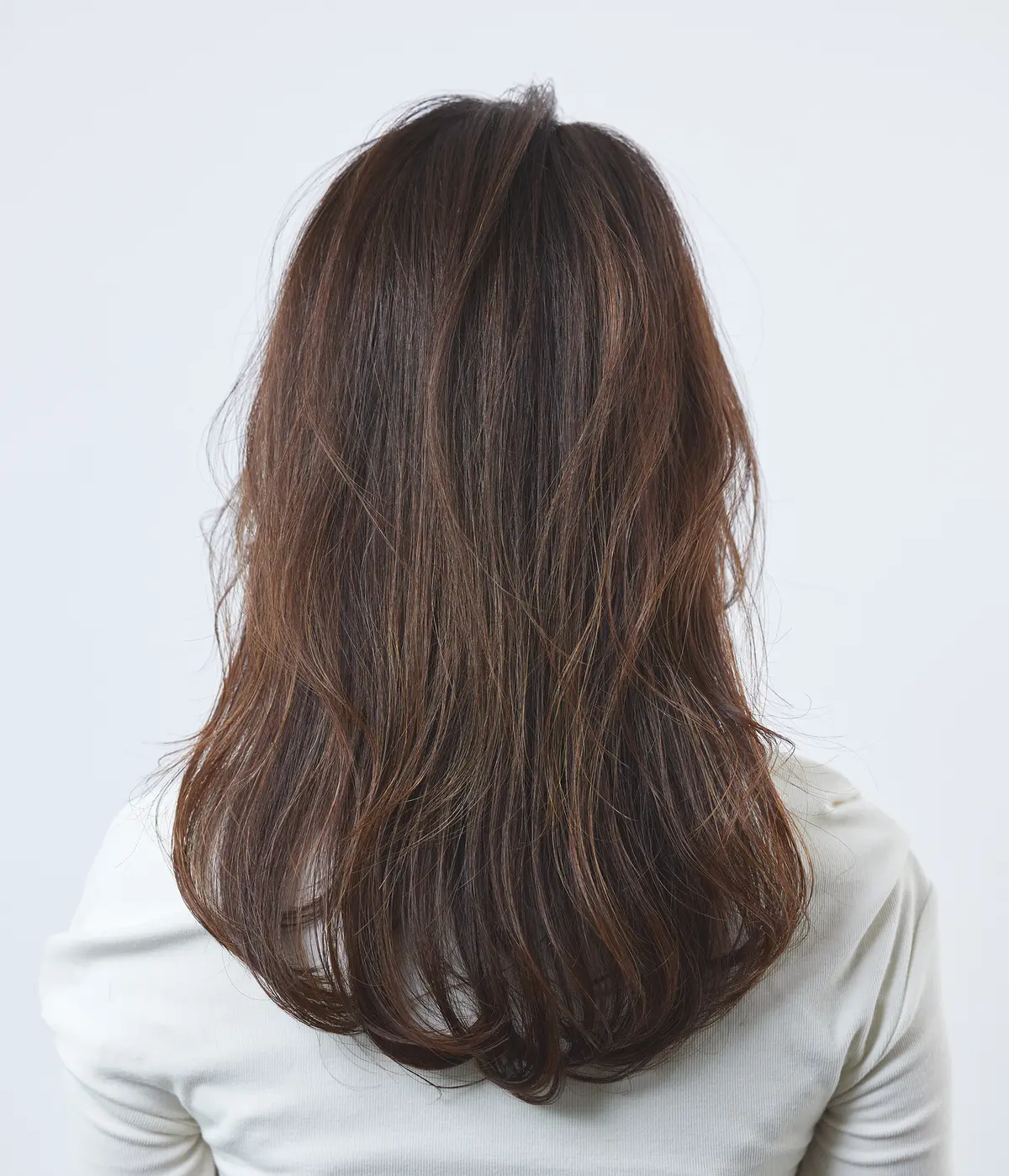 Webエクラ 　後から見たセミロングヘアスタイル