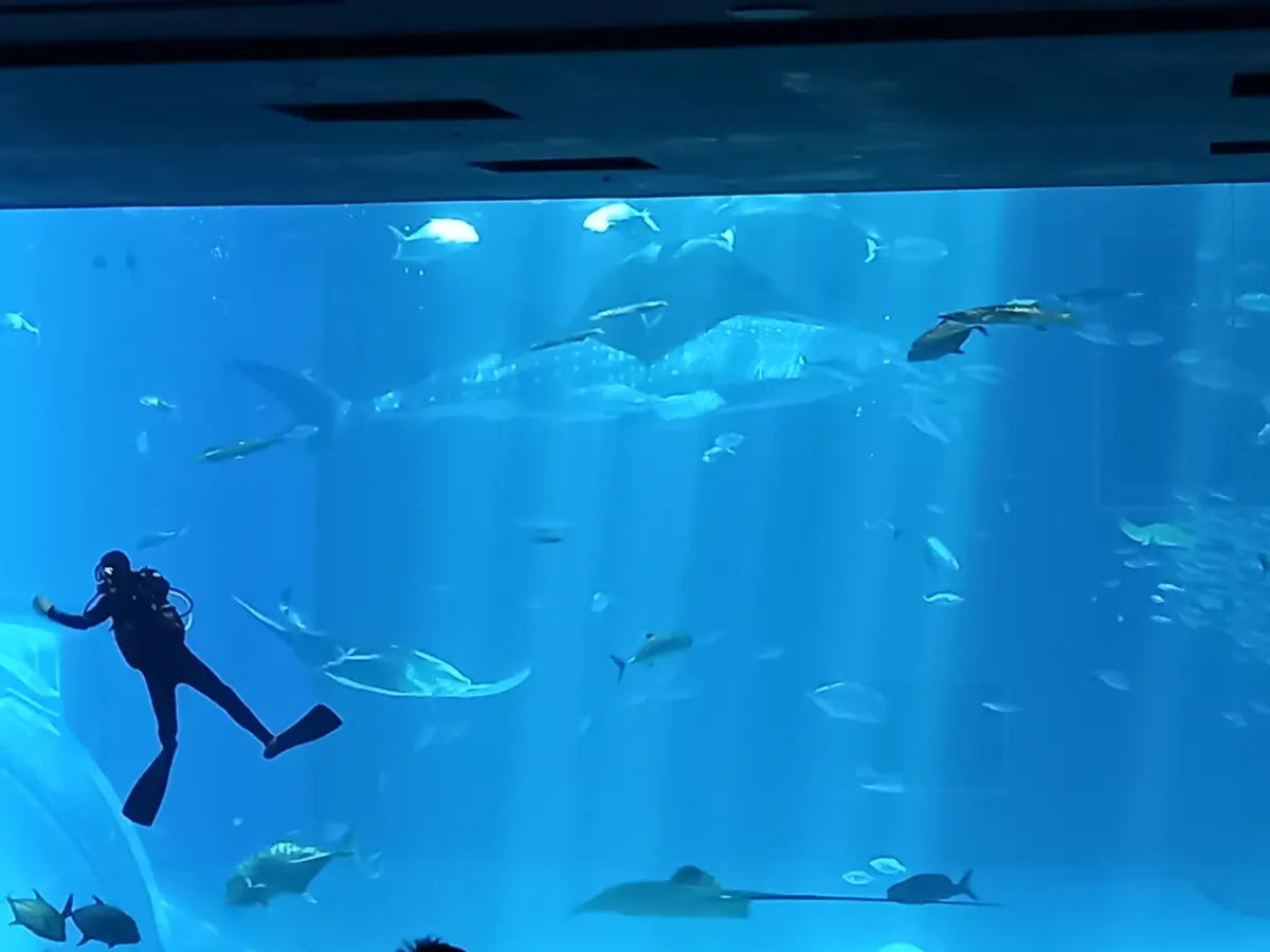 【沖縄】大人の修学旅行♡王道スポット＆沖の画像_14