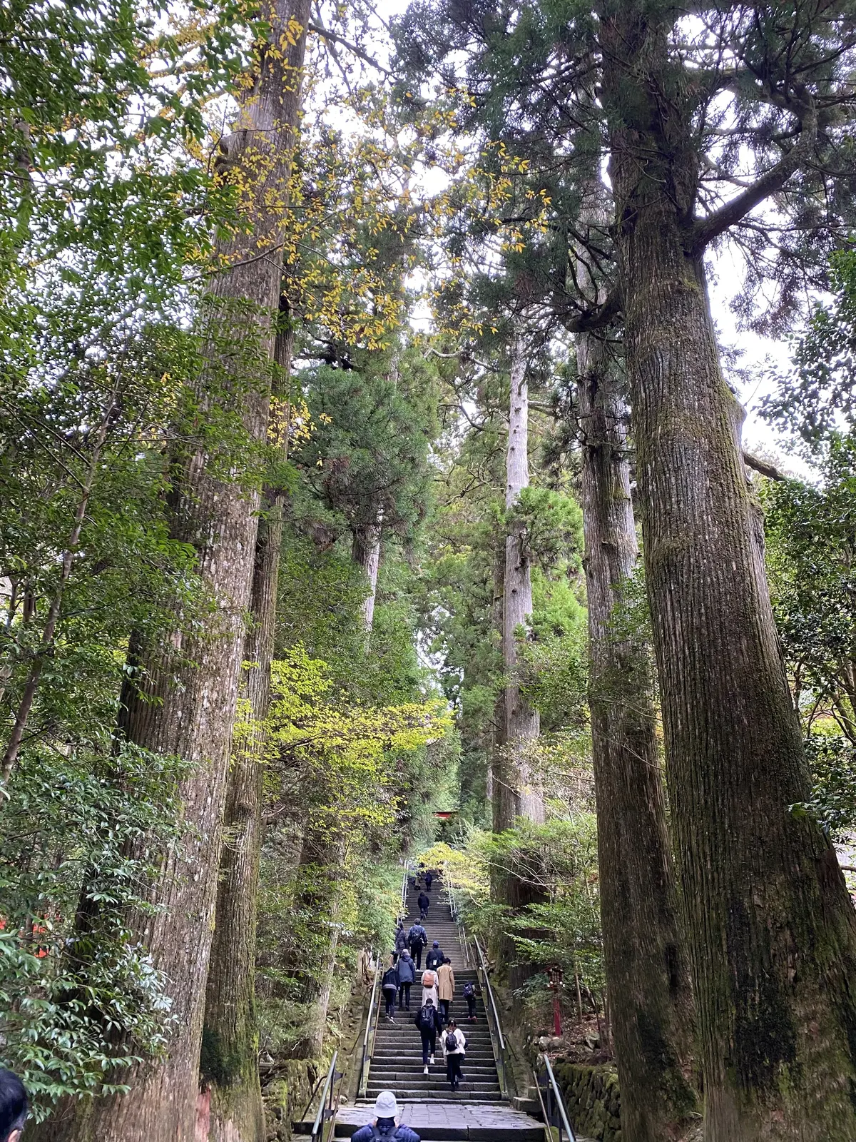 パワースポット「箱根神社」への画像_2