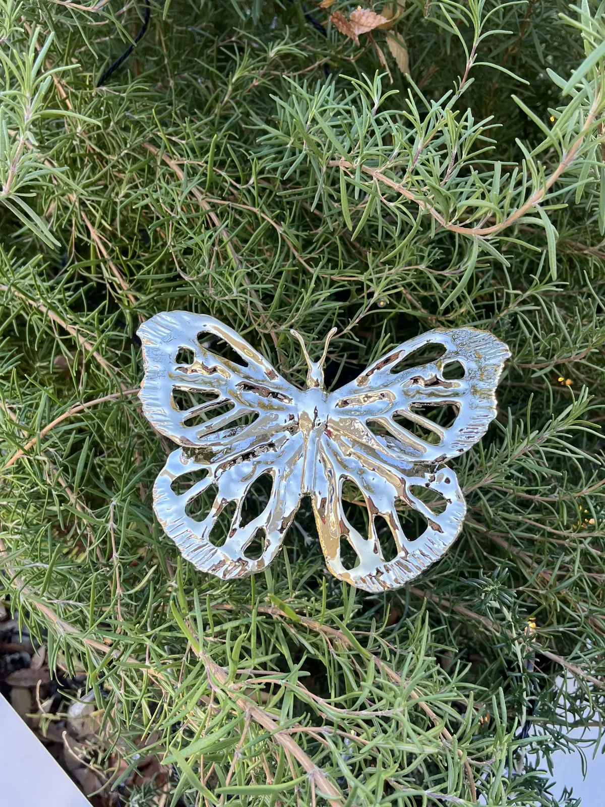 紅葉の中でアフタヌーンティー♪＆お花屋さの画像_10