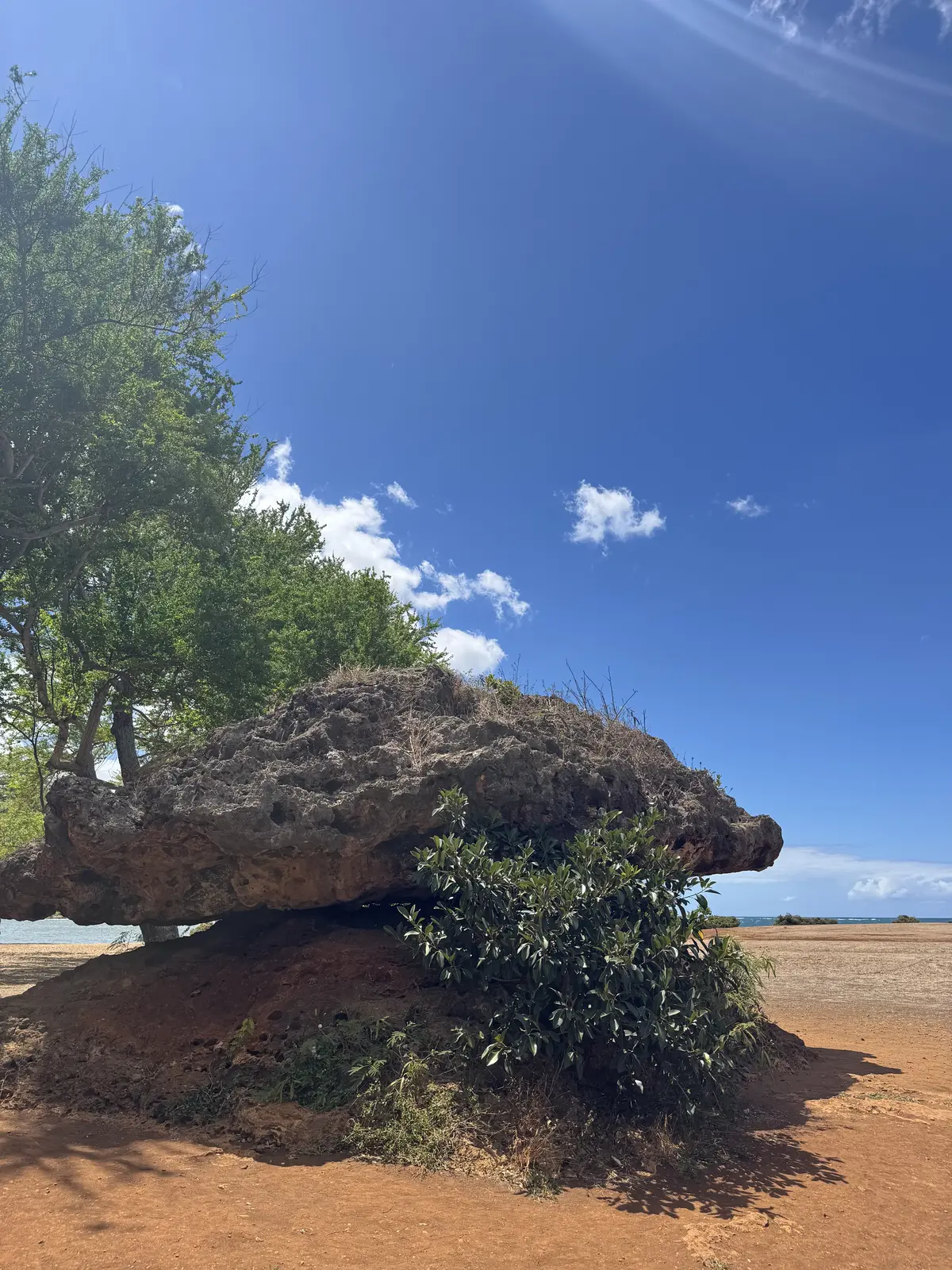 約30年ぶりの女子旅 in HAWAIIの画像_5