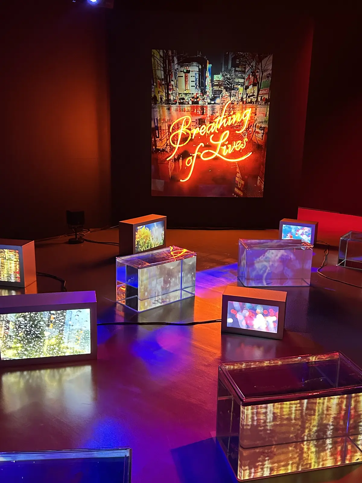 ♡初♡2024華組新メンバーで虎ノ門ヒルの画像_2