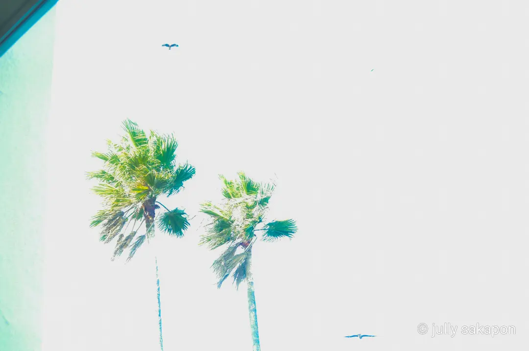 【さかぽんの冒険】三崎マグロきっぷ❤️海の画像_17