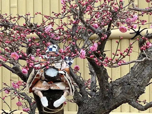 はじめまして「くらら」です。の画像_8