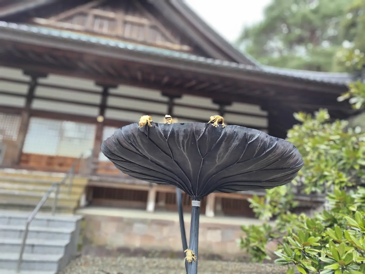 尾山神社　金のカエル