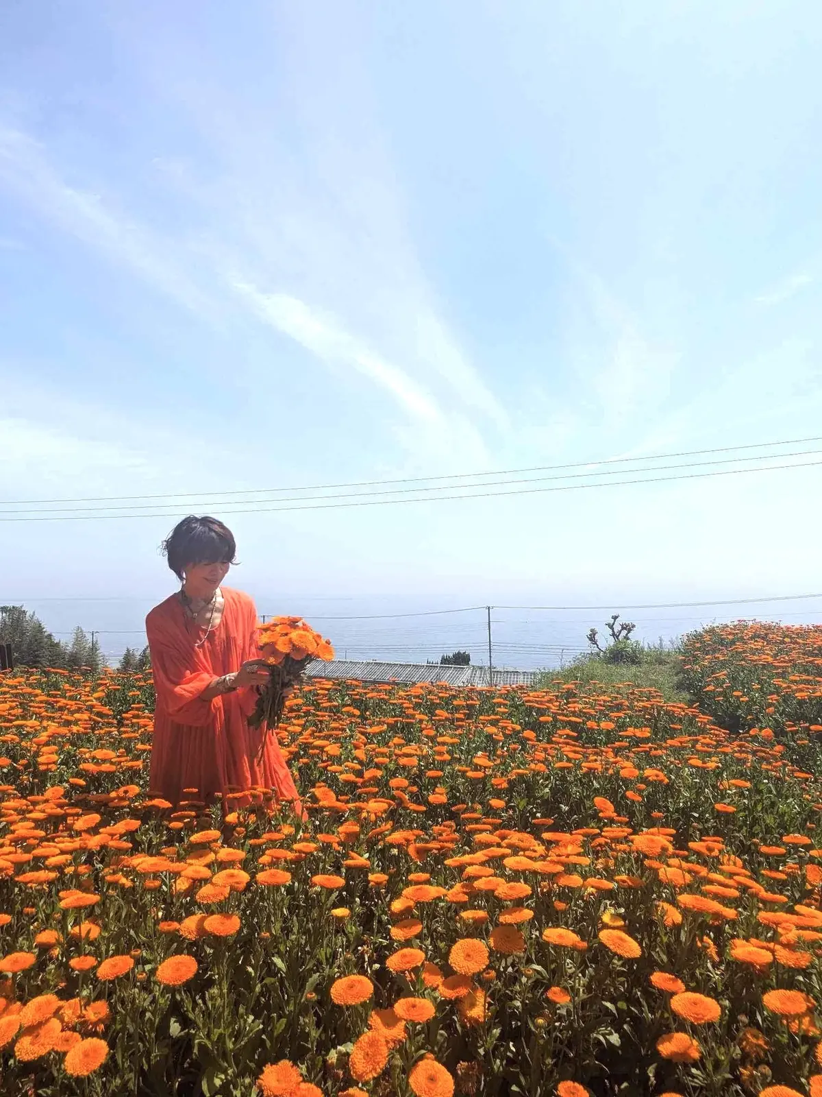 Calendula Tour！の画像_6